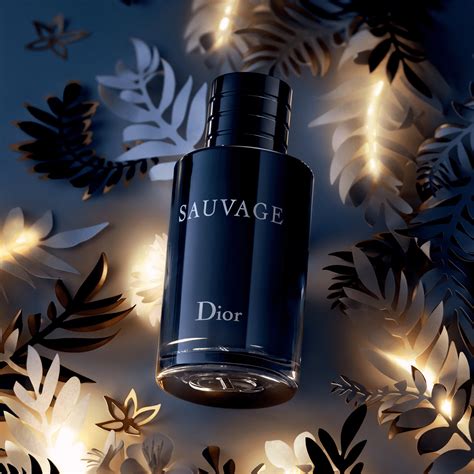 sauvage dior kit|sauvage dior ml price.